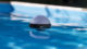 Test capteur piscine Ofi Light: l’objet flottant intelligent