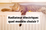 Radiateur électrique: quel modèle choisir pour réaliser des économies ?